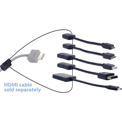 LIberty AV Digitalinx DL-AR1906 HDMI Pigtail Adapter Ring, Micro & Mini HDMI, DP & Mini DP, USB-C