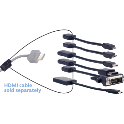 LIberty AV Digitalinx DL-AR2243 HDMI Pigtail Adapter Ring, Micro & Mini HDMI, DP & Mini DP, DVI